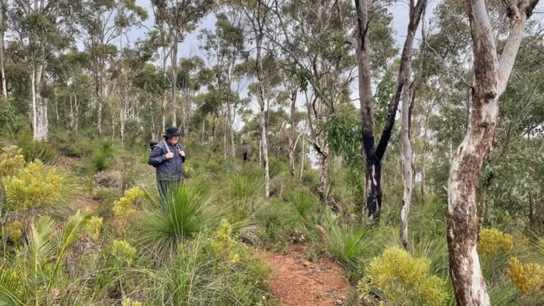 Welcome to Naturbility NDIS hiking