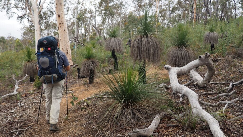 man hiking with a large backpack