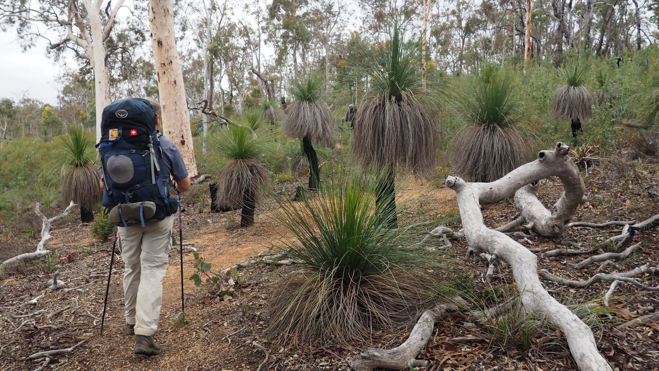 man hiking with a large backpack