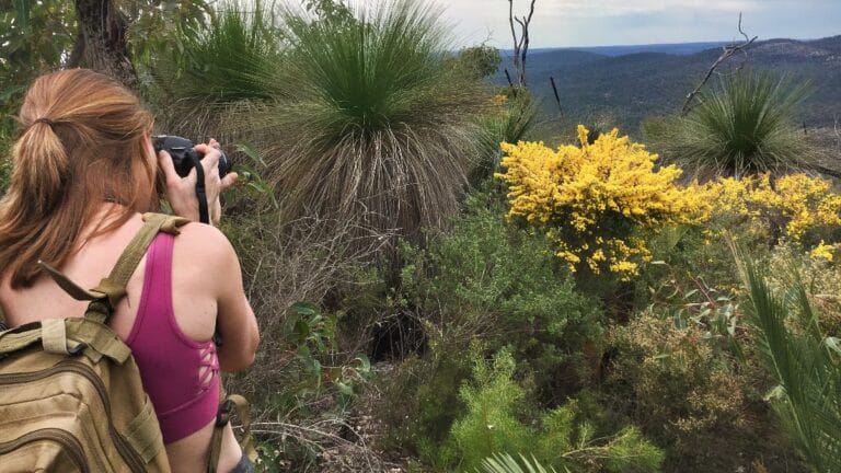 young lady taking photo of wild flowers
