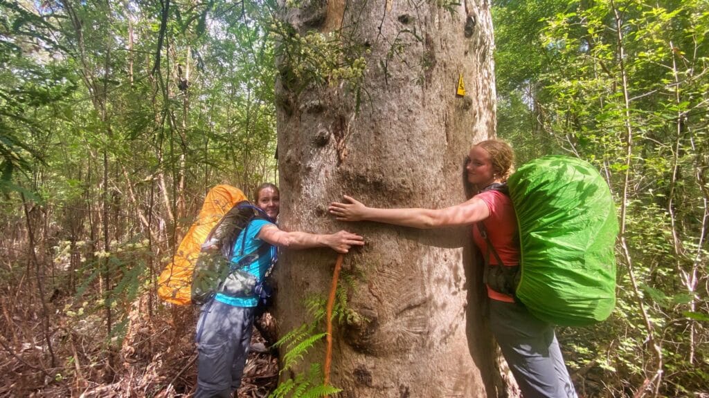 a mum and daughter hugging a Karri tree on the bibbulmun track
