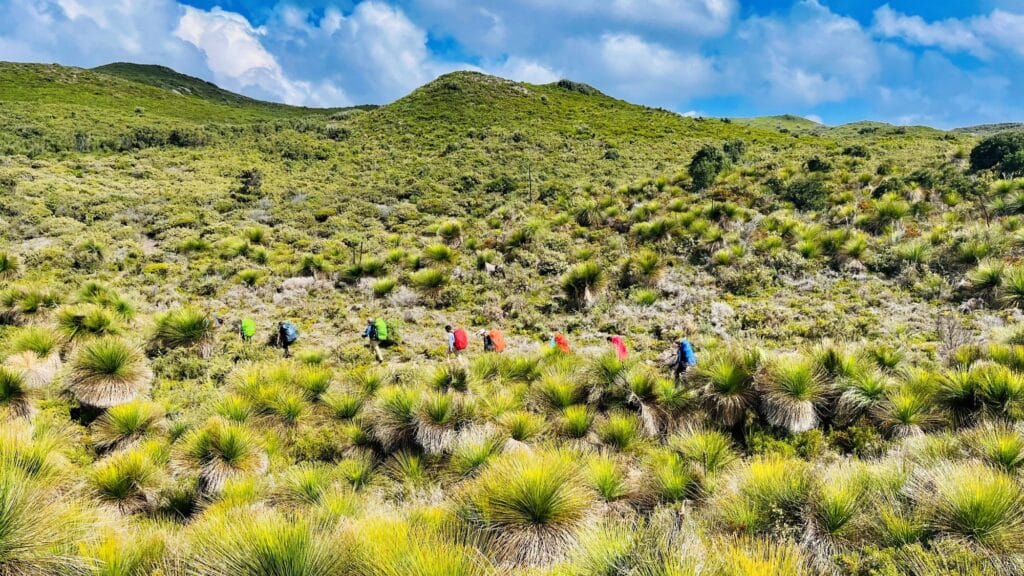 Group of teens hiking on the south coast section of the bibbulmun track