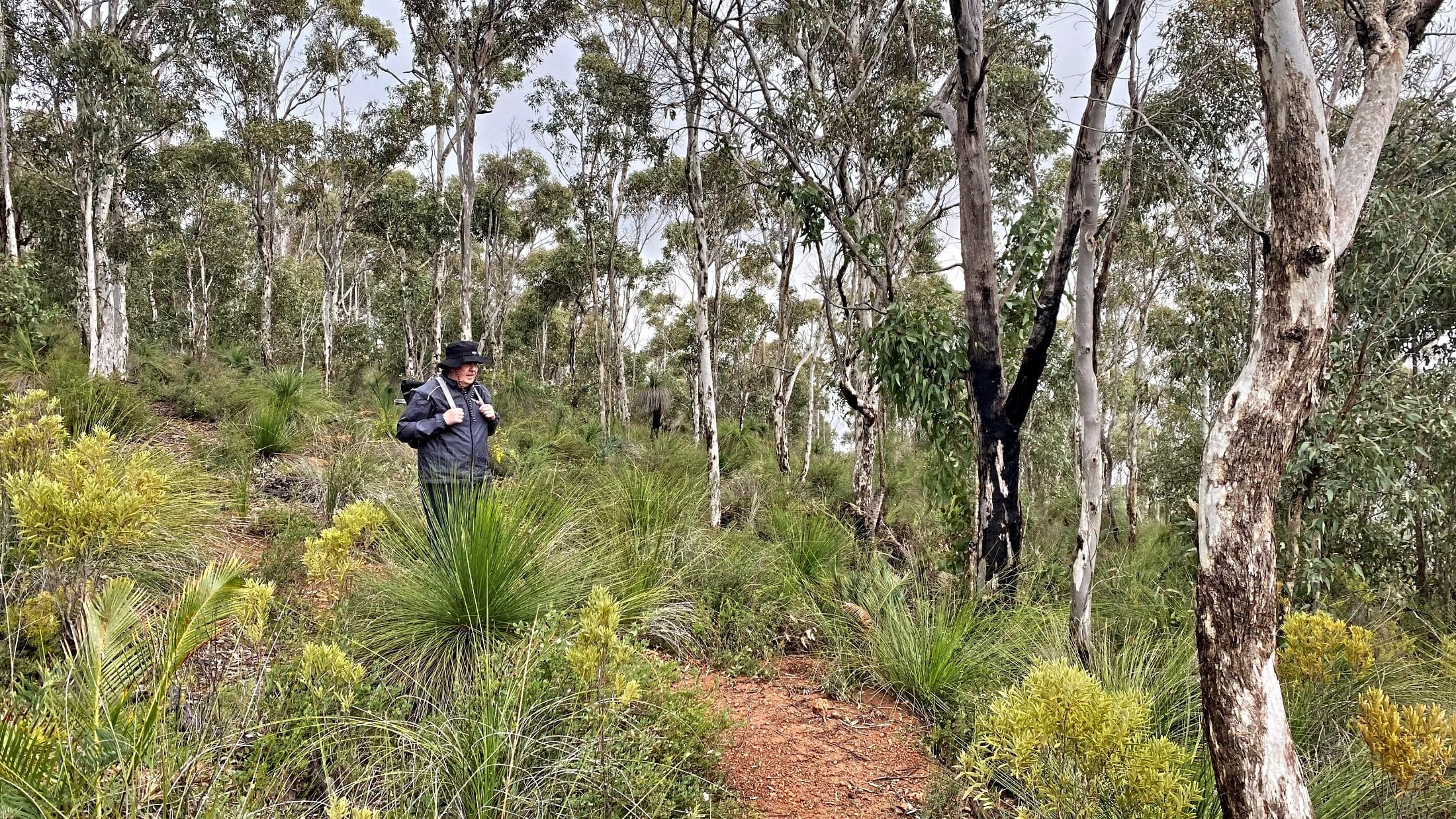 Older man day hiking down a hill
