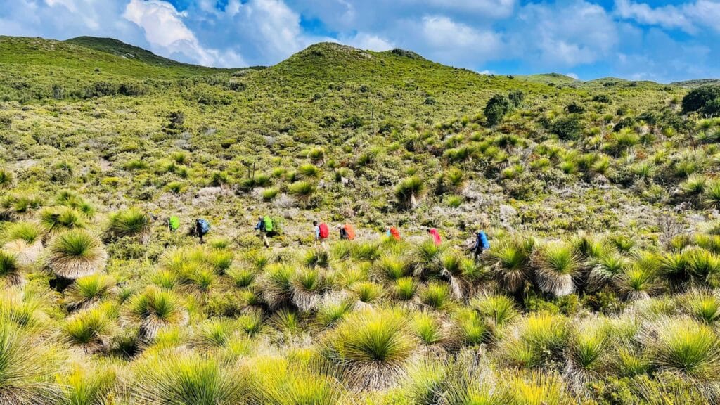 Teen hikers in the distance
