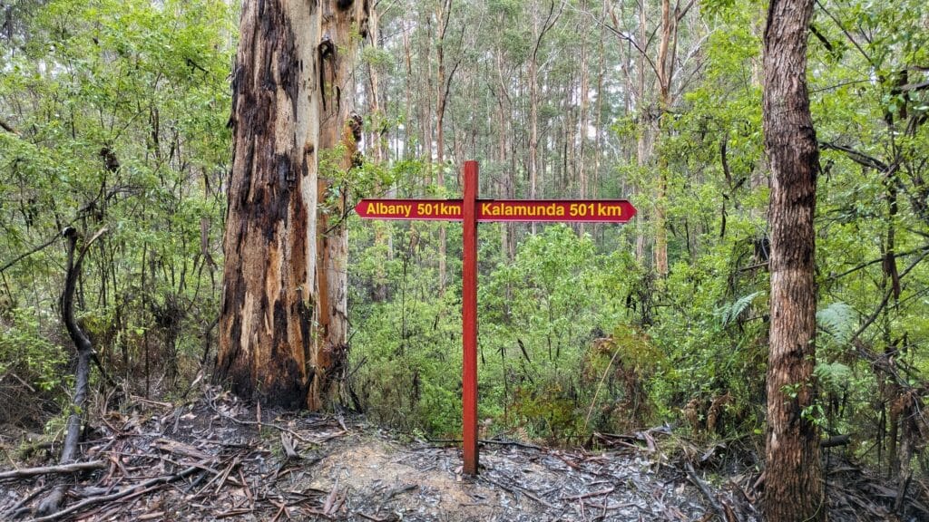 Half way 500 km on the bibbulmun track