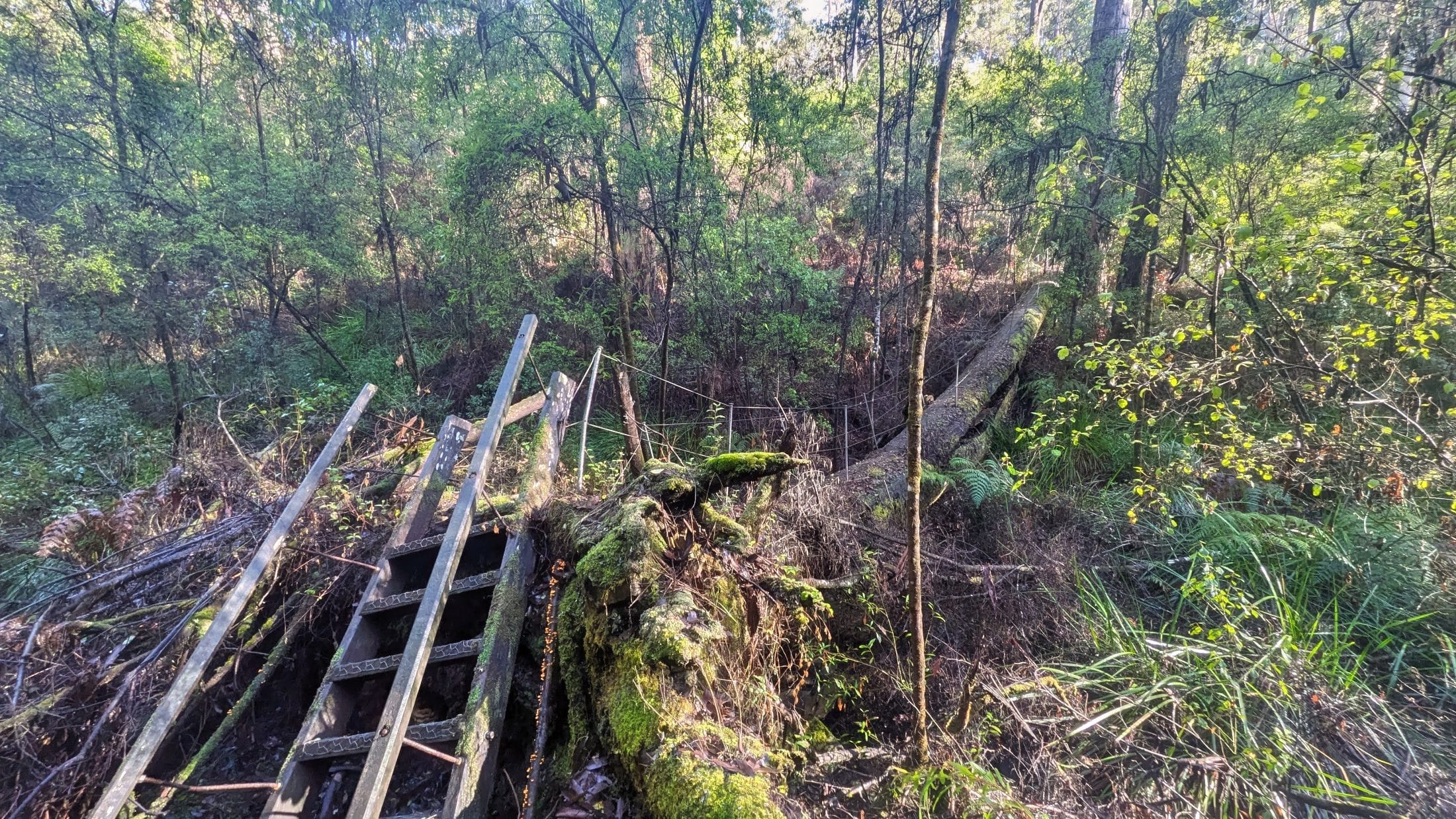 Climbing a trail ladder