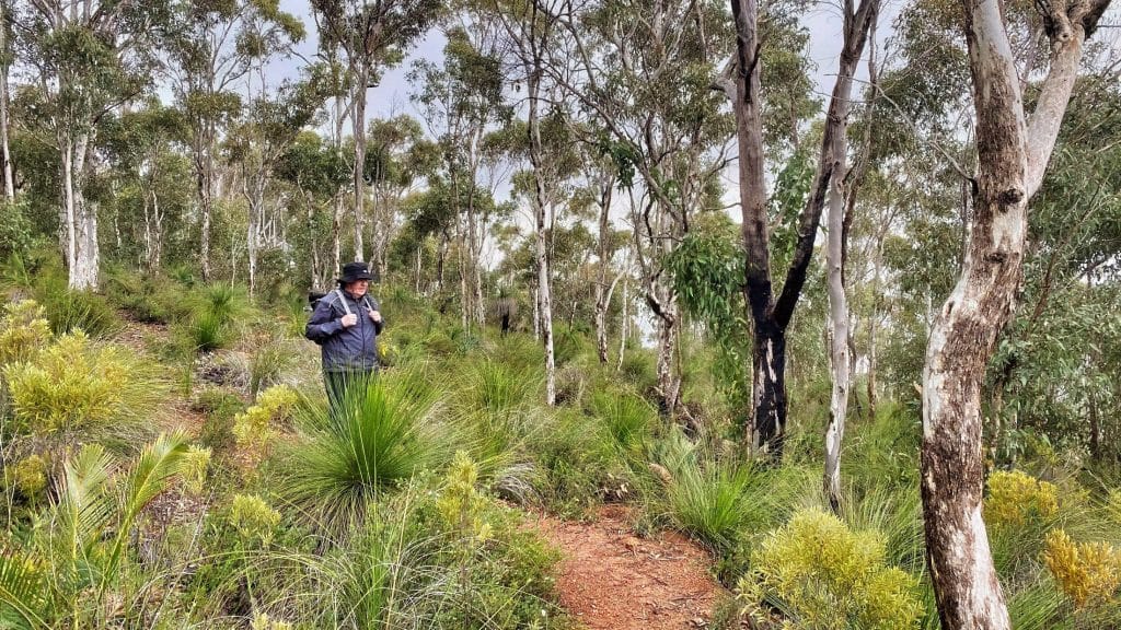 Older man day hiking down a hill