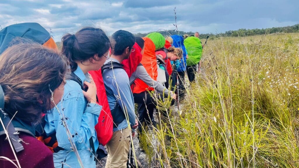 Teens hiking in high grass