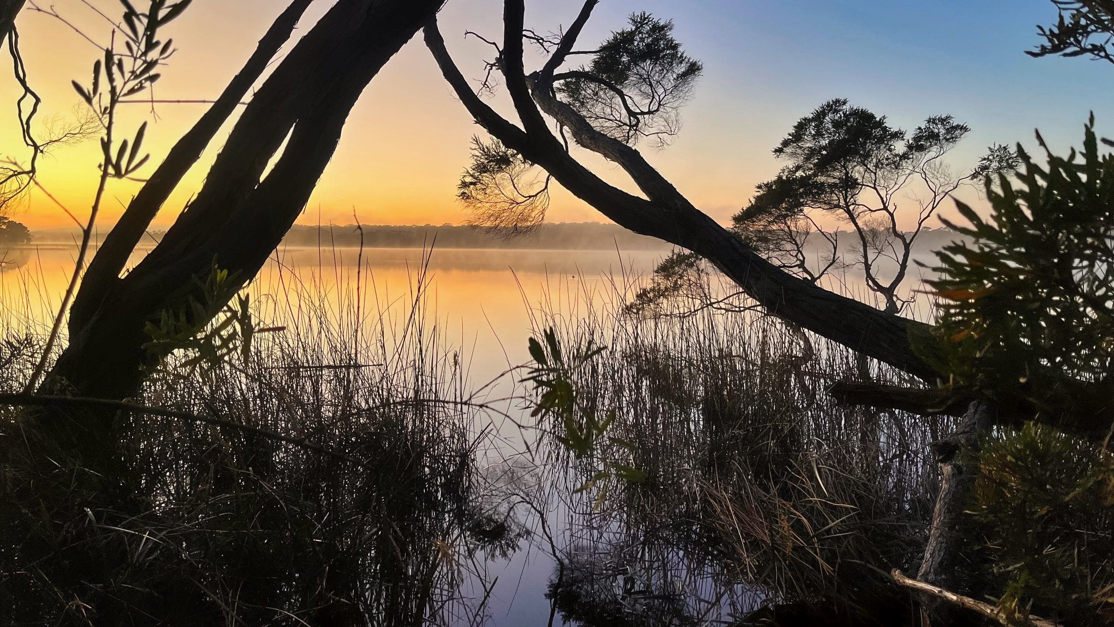Lake Maringup sunrise