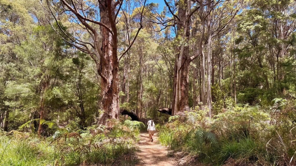 couple walking in the forest
