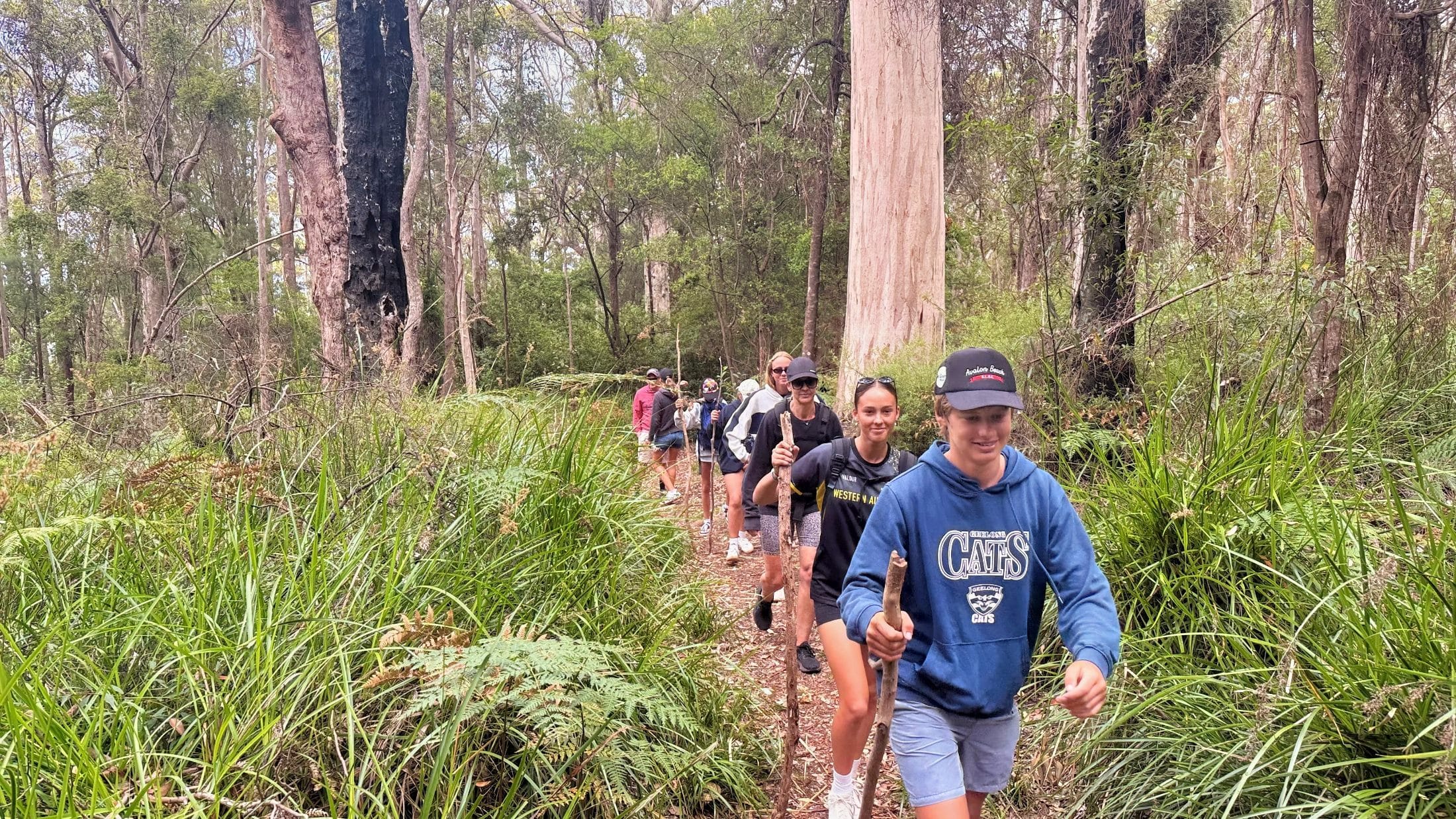 family hiking on the bibbulmun track in valley of the giants