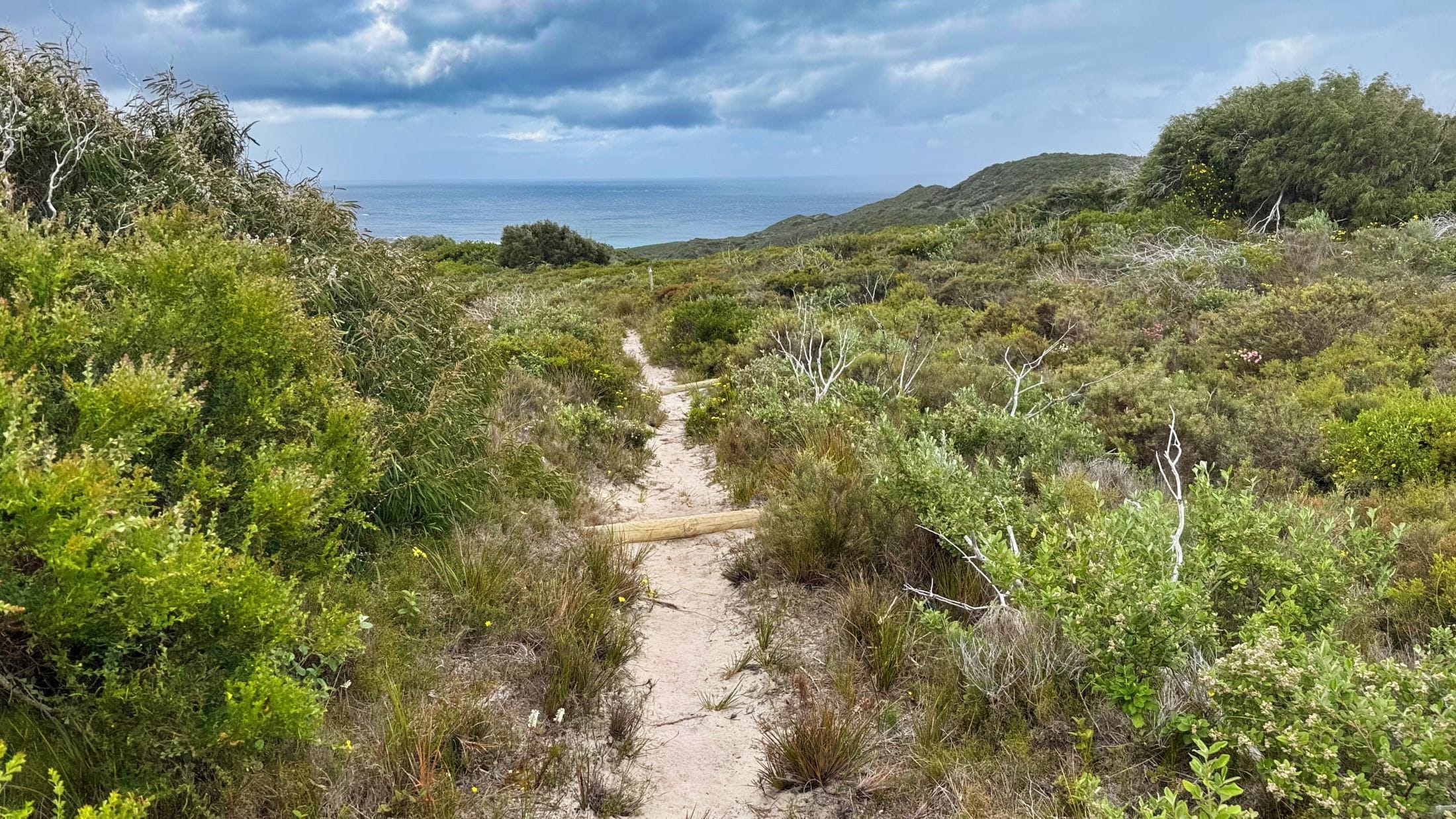 sandy bibbulmun track near parry beach