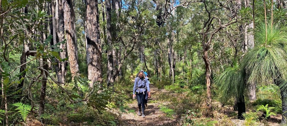lady hiking in the forest on the bibbulmun track